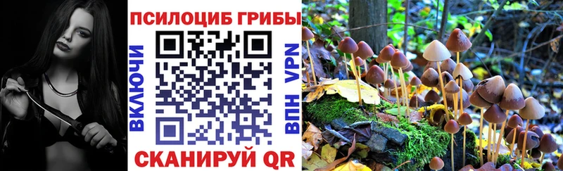 блэк спрут ссылки  Новохопёрск  Галлюциногенные грибы прущие грибы  купить закладку 